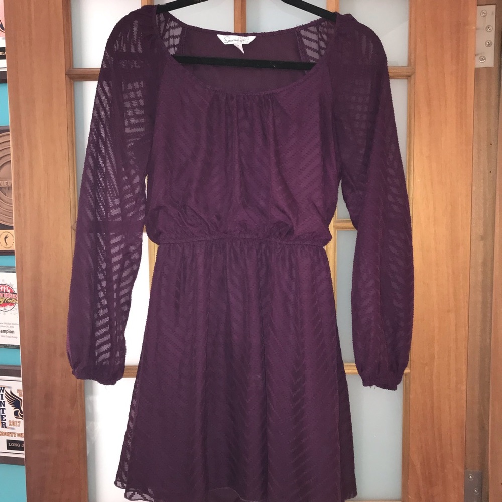 🍂🍁Fall formal🍁🍂Purple long sleeve dress